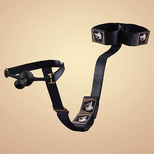 Набор бондажа Hogtie Bondage Gear With Mouth Gags