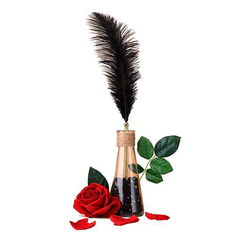 Набор перьев LOCKINK Peacock Flirting