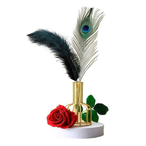 Набор перьев LOCKINK Peacock Flirting