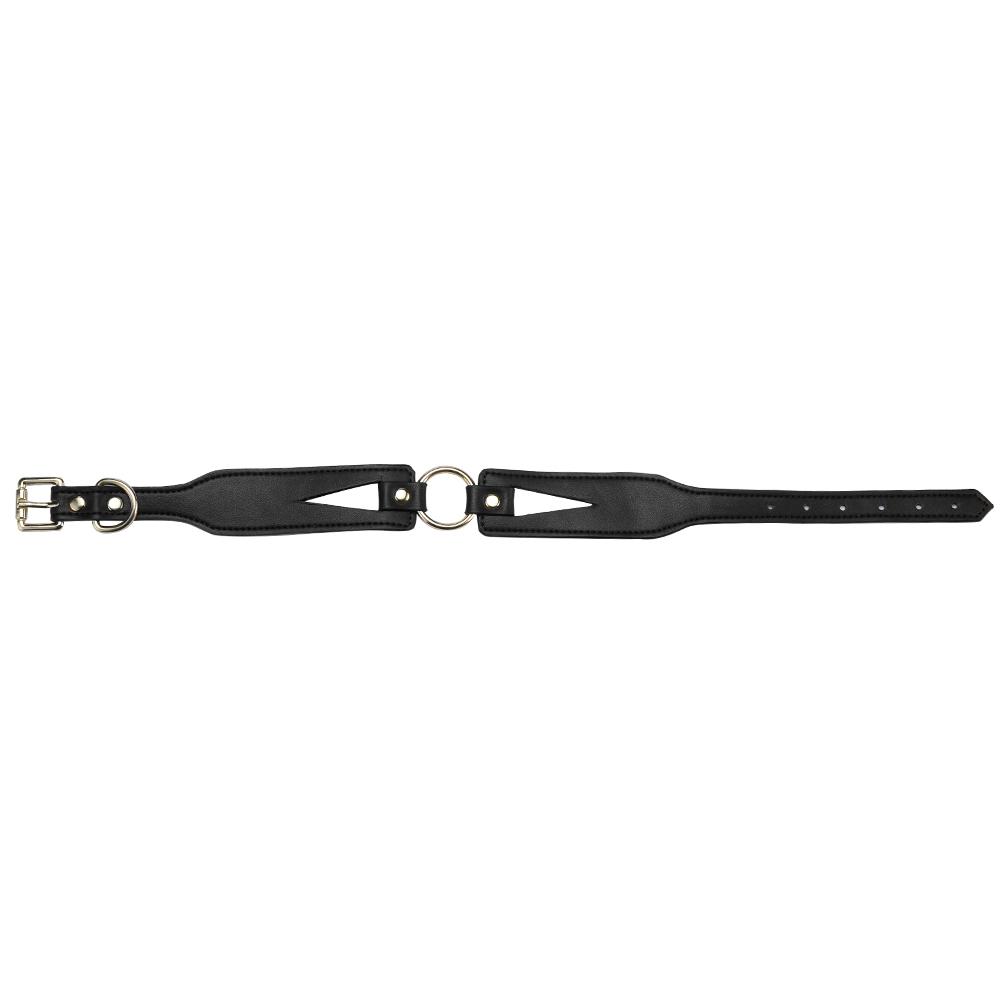 Ошейник с поводком Leather Collar + Gold Chain Traction