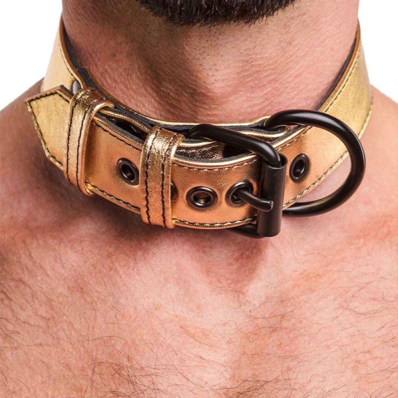Ошейник "Metallic Pup" с поводком (по цветам)